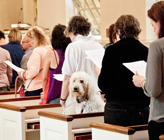 Blessing of the animals