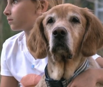 Honey had an emotional reunion with her family after being found 600 miles from home.