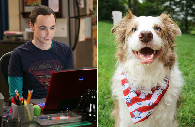 Big Bang Theory