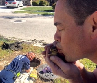 One of the Idaho firefighters gave a rescued duckling a kiss before sending it back to its mom.
