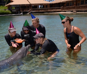 Trainers at Dolphin Quest Hawaii celebrate Lehua's first birthday.