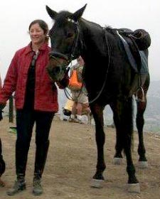 Beau the thoroughbred and Dr. Julie Ryan Johnson