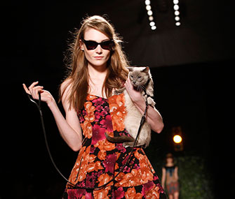Lily the cat hits the runway at Fashion Week in New York.