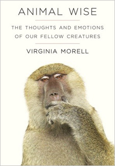 Animal Wise by Virginia Morell