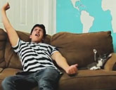 Cat copies owner on the couch