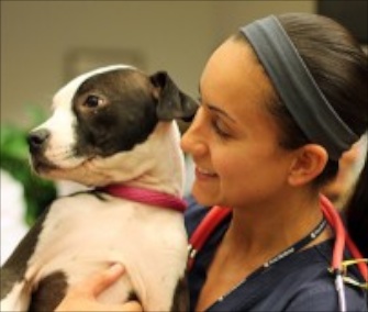 One of the dogs from the Pennsylvania SPCA brightens the day of a worker at the Hospital of the University of Pennsylvania.