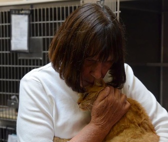 Owner Nancy Payne was reunited with her missing cat, Ginger, after eight years.