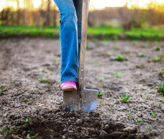 Shoveling a garden