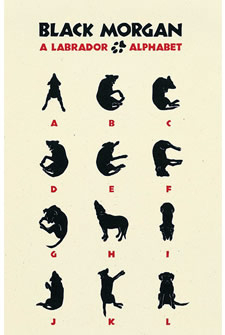 Labrador Alphabet