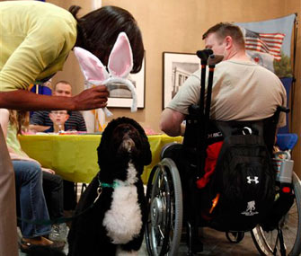 Michelle Obama putting bunny ears on Bo for Easter