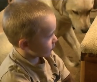 Chance the Lab stayed by 2-year-old Jakob's side while he was missing overnight.