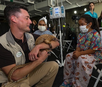 San Diego Zoo Ambassador Rick Schwartz introduces an animal to a patient at Rady Children's Hospital.