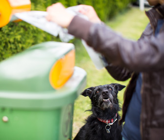 Cleaning up dog waste