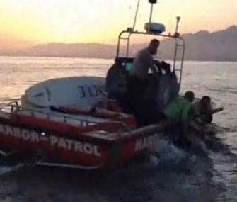 Harbor control rescues an Arabian horse at sea