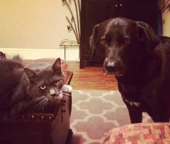 Trixie and Rudi