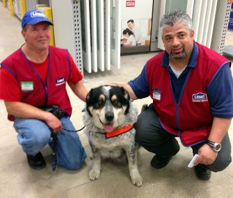 Lowe's Canada hired Owen Lima and his 10-year-old service dog, Blue.