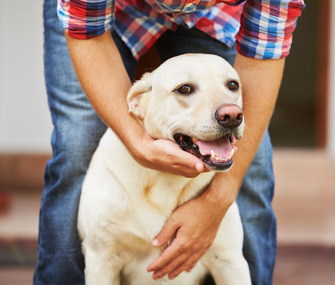 Man hugging dog