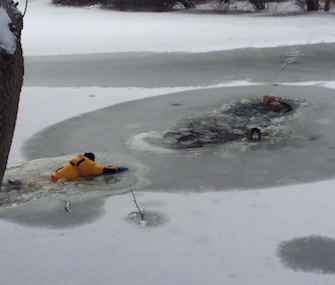 Firefighters in Guilford, Connecticut, rescued two Huskies from an icy pond.