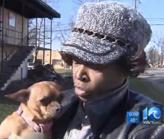 Taffy the Chihuahua ran across a parking lot to her owner the morning after a fire destroyed their apartment.