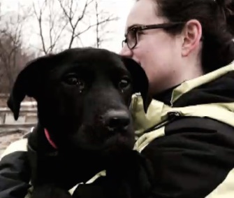 A TV news crew came to the rescue of a dog who was trapped on the ice on Lake Erie for several days.