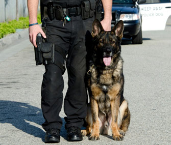 Police Dog