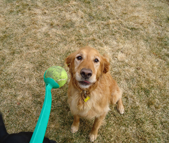 Throwing a ball for Shakira