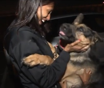Rico, a 6-year-old German Shepherd, was reunited with his California family after he was found in Virginia.