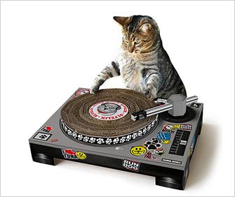 a cat dj with scratch pad