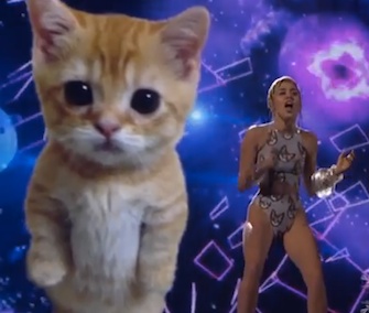 Miley Cyrus performed at the AMAs with a giant cat lip synching on a screen behind her.