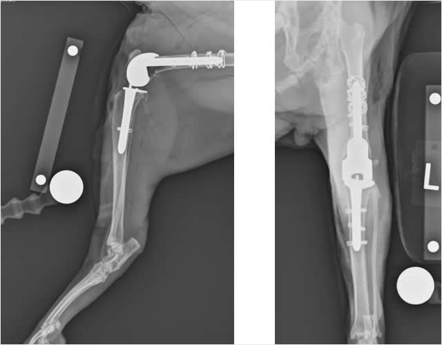 post-surgery radiographs