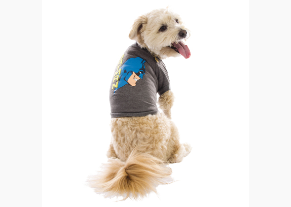 petsmart apparel