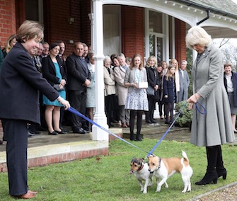 Camilla, Duchess of Cornwall, visited a U.K. animal shelter with her own two rescue pups.