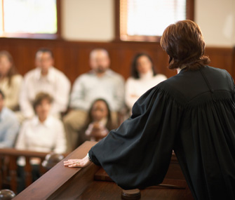 Judge and Jury