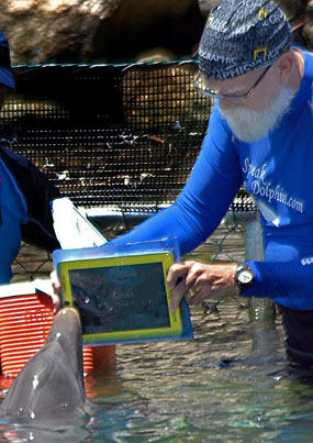 Dolphin on iPad