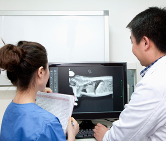 Vet Radiology