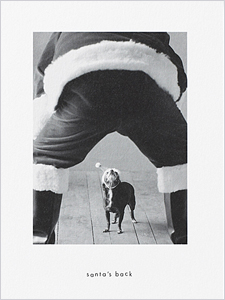 holiday card with dog