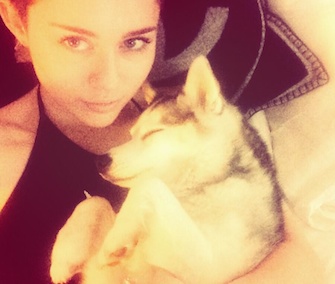 Miley Cyrus has been sharing her devastation about the death of her dog Floyd with her fans.