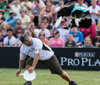 Purina Incredible Dog Challenge 2014