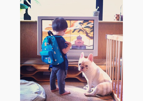 Resultado de imagen para french bulldog kids