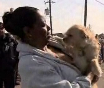 Tornado survivor is reunited with her puppy, Brownie.