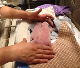 Twin panda cubs were born to mom Er Shun at the Toronto Zoo early Tuesday.