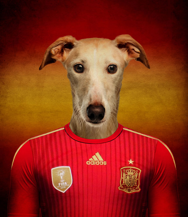 dogs from spain patriotic dogs cheer on their countries world cup soccer teams dogs from spain patriotic dogs cheer on their countries world cup soccer teams