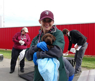 A member of the Texas A&M team holds a chocolate Lab puppy who they are treating.