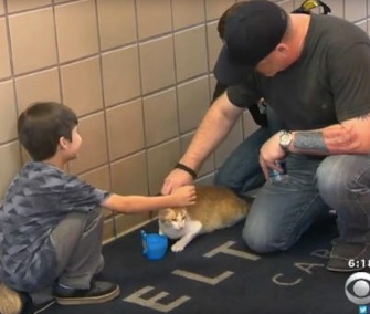 Navy reservist Brad VanCleave and his son greet Mr. Meowgi.