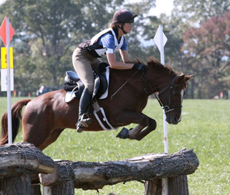 Horse jumping over poles