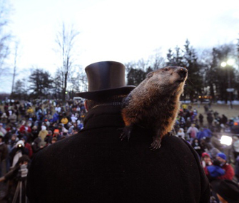 Punxsutawney Phil on Groundhog Day