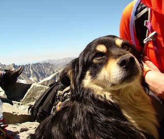 Rysa was saved from an 8,200-foot mountain top in Poland by a group of climbers.