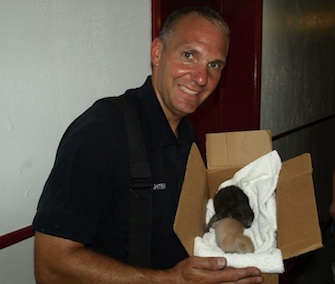 A Willoughby, Ohio, firefighter holds a box with kittens who were saved from a fire.