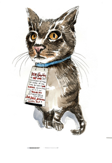 illustration of a cat