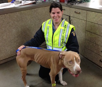 Bundy, who'd been missing since Halloween, survived a 10-story jump from an overpass.